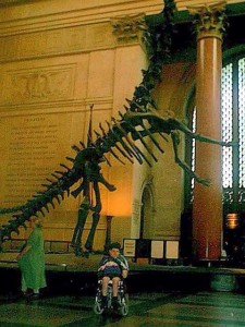 me with the Barosaurus skeleton in the Hall of Saurischian Dinosaurs, American Museum of Natural History, NYC. Early June, 1999.